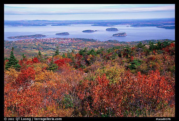 Fall foliage in Acadia National Park a leaf peeper's delight